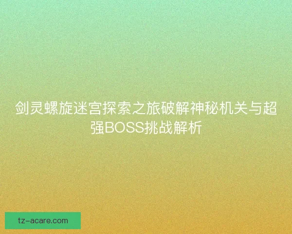 剑灵螺旋迷宫探索之旅破解神秘机关与超强BOSS挑战解析