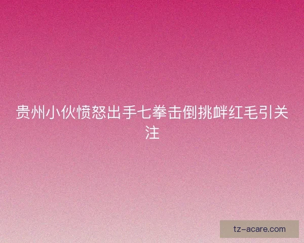 贵州小伙愤怒出手七拳击倒挑衅红毛引关注